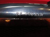 RUGER M77 MARK II 22-250 CAL. - 15 of 18