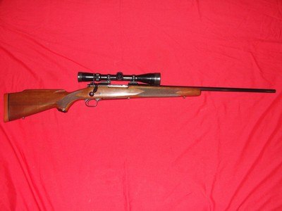 WINCHESTER 70 XTR 264 cal. post 64