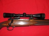 WINCHESTER 70 XTR 264 cal. post 64 - 5 of 17