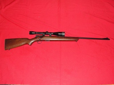 Winchester model 43 22 Hornet