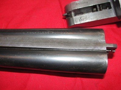 ITHACA Hammerless double 12 Ga. - Image 15 of 20