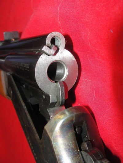 SAVAGE 24 P SERIES 22 LR/410 - Image 17 of 18