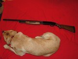 MOSSBERG 500C 20 GA. - Image 2 of 15