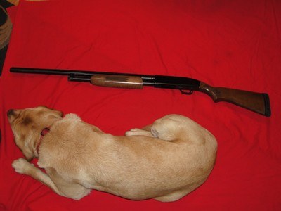 MOSSBERG 500C 20 GA. - Image 2 of 15