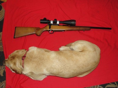 IZHMASH BIO-7-2-KO BASIC 22LR - Image 1 of 19