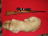 IZHMASH BIO-7-2-KO BASIC 22LR - Image 1 of 19
