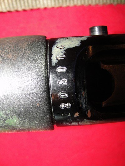 CHARLES DALY 20 GA. SEMI AUTO FIELD-YOUTH- - Image 8 of 13