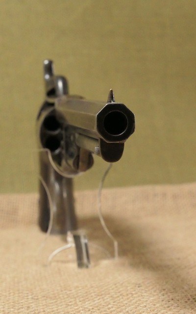 Savage Revolving Firearms Co. - Navy Model 1861 Ring Trigger - .36 Percussion - 7