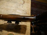 Winchester Model 70 Coyote Stainless .243 Win w/ Zeiss - 17 of 21
