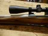 Winchester Model 70 Coyote Stainless .243 Win w/ Zeiss - 14 of 21