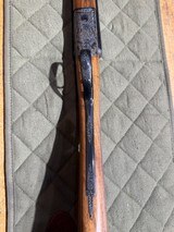 Beretta 486 Paralello Case Colored 20ga 28