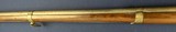 Untouched Springfield .69 Conversion Percussion Musket - 16 of 19