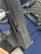 Monthly Special Sigsauer P365 .380 Auto Pistol - 9 of 13