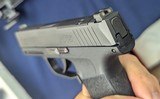 Monthly Special Sigsauer P365 .380 Auto Pistol - 11 of 13