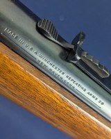 Spectacular Winchester Model 53 Rifle C. 1927 Near New - 17 of 18