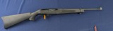 Holiday Special Ruger 10-22 Rifle All Weather Stock