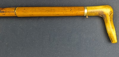 Rare 19th Century French Dumonthier Cane Gun - Image 11 of 16