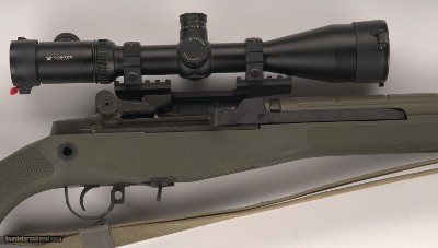 Springfield M1A .308