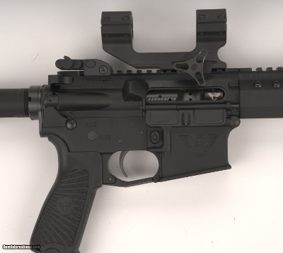 Wilson Combat Protector AR WC-15 5.56 NATO