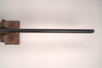 Rizzini Artemis Light 20ga 28