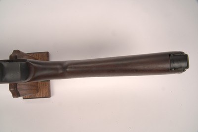 Springfield M1A 7.62 25
