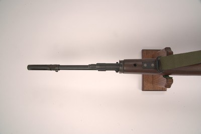 Springfield M1A 7.62 25