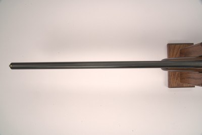 Rizzini Aurum Evo Classic 20ga 28