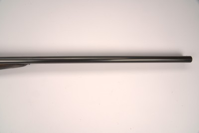 Army Navy Sidelock 12ga 28
