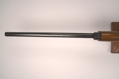 Browning Belgium A5 Sweet Sixteen 16ga 25