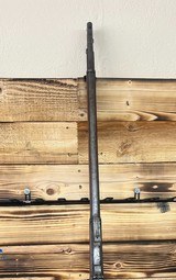 Springfield US Model 1884 Rifle - 45-70 (Buffalo Soldier 25th Infantry) - 4 of 20