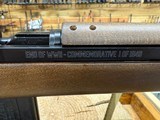 Chiappa M1-22 Commemorative Edition Rifle - 22 LR, 10+1, 18