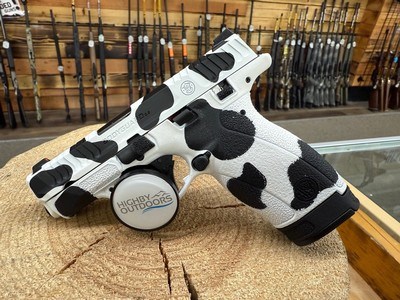 Smith & Wesson Bodyguard 2.0 Pistol - .380 ACP, 2.75