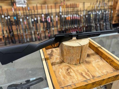 Rossi Gallery Rifle - 22 LR ,15+1, 18