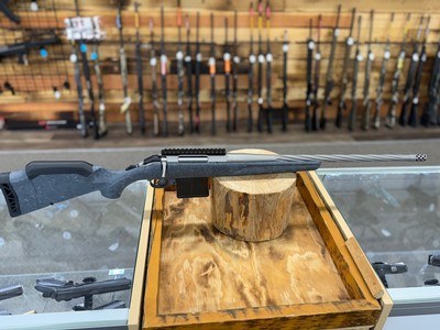 Ruger American Gen II Rifle - 204 Ruger, 10+1, 20