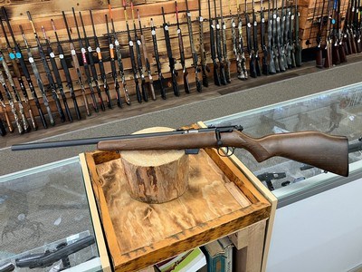 Savage 93R17 GLV Rifle - 17 HMR - 21