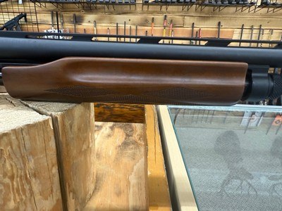 Escort WS Pump Shotgun - 20 Ga, 3