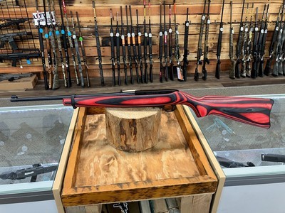 Ruger 10/22 Carbine - 22LR - 18.5