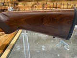 Ruger 77/17 .17WSM 18.5