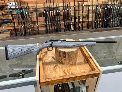 Ruger American Rimfire Target 17 HMR - 9+1 - 18