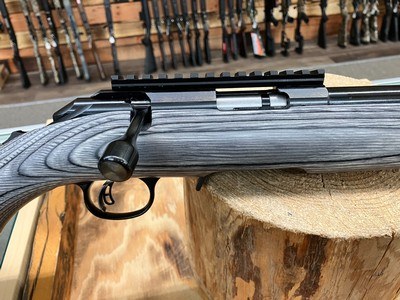 Ruger American Rimfire Target 17 HMR - 9+1 - 18