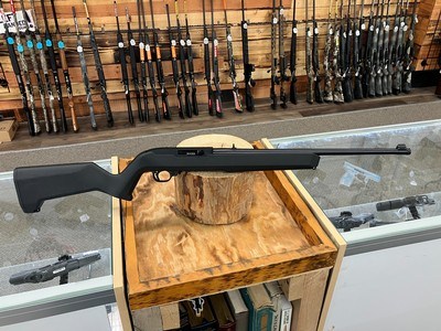 Ruger 10/22 Rifle - 22 LR - 10+1 - 18.50