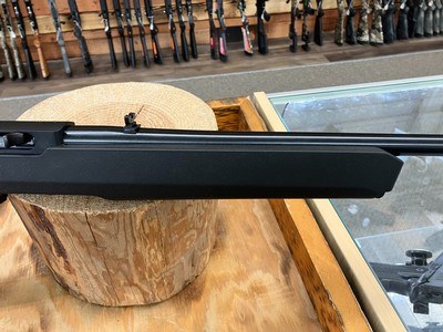 Ruger 10/22 Rifle - 22 LR - 10+1 - 18.50