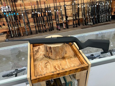 Ruger 10/22 Rifle - 22 LR - 10+1 - 18.50