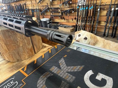 ATI Alpha Maxx Rifle - 300 Blackout, 30+1, 16