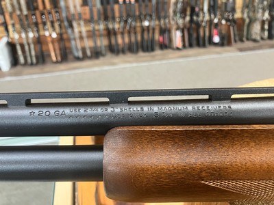 Remington 870 Express Magnum Shotgun - 20 ga - 25.5