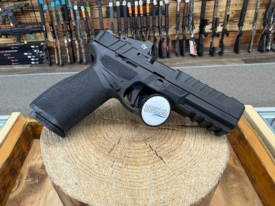 Springfield Armory Echelon Gear Up 25 Pkg Pistol - 9mm Luger, 15+1, 4.50