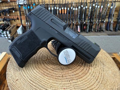 Sig Sauer P365 BXR Micro-Compact Pistol - 9mm, 10+1, 3.10