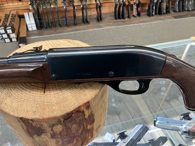 Remington Nylon Mohawk 10-C Semi-Auto Rifle - 22 LR - 19.5