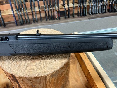 Ruger 10/22 Rifle - 22 LR - 10+1 - 18.50