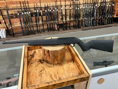 Ruger 10/22 Rifle - 22 LR - 10+1 - 18.50